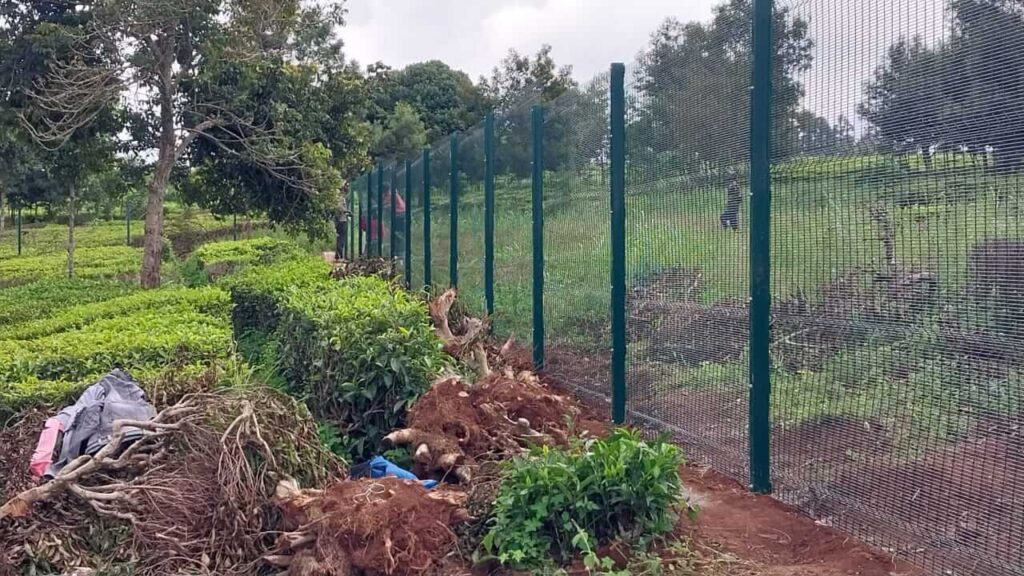 We supply and install Anti-climb clear view fences in Kenya